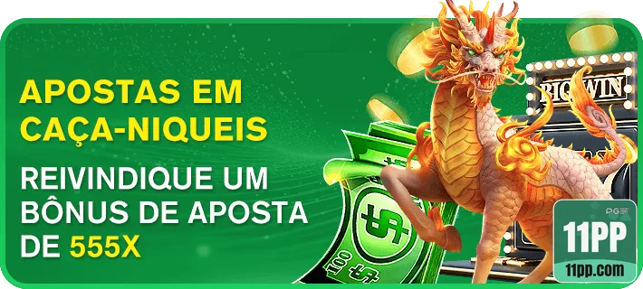 11pp - segura plataforma online - Interface Premium